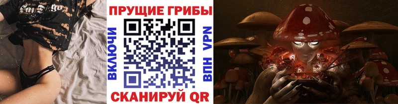 Купить где  Тольятти  Псилоцибиновые грибы GOLDEN TEACHER